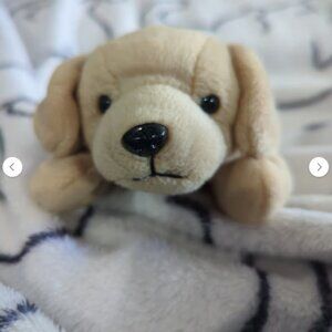 Fetch Vintage 1998 Beanie Baby